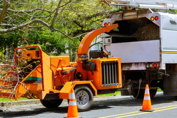 Lawn Drainage Solutions in Rainbow Springs, FL